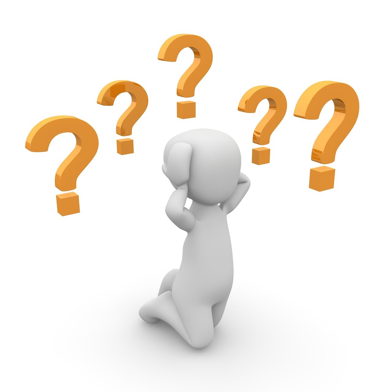 Twelve Questions You Might Be Afraid Too, But Should Ask Yourself.