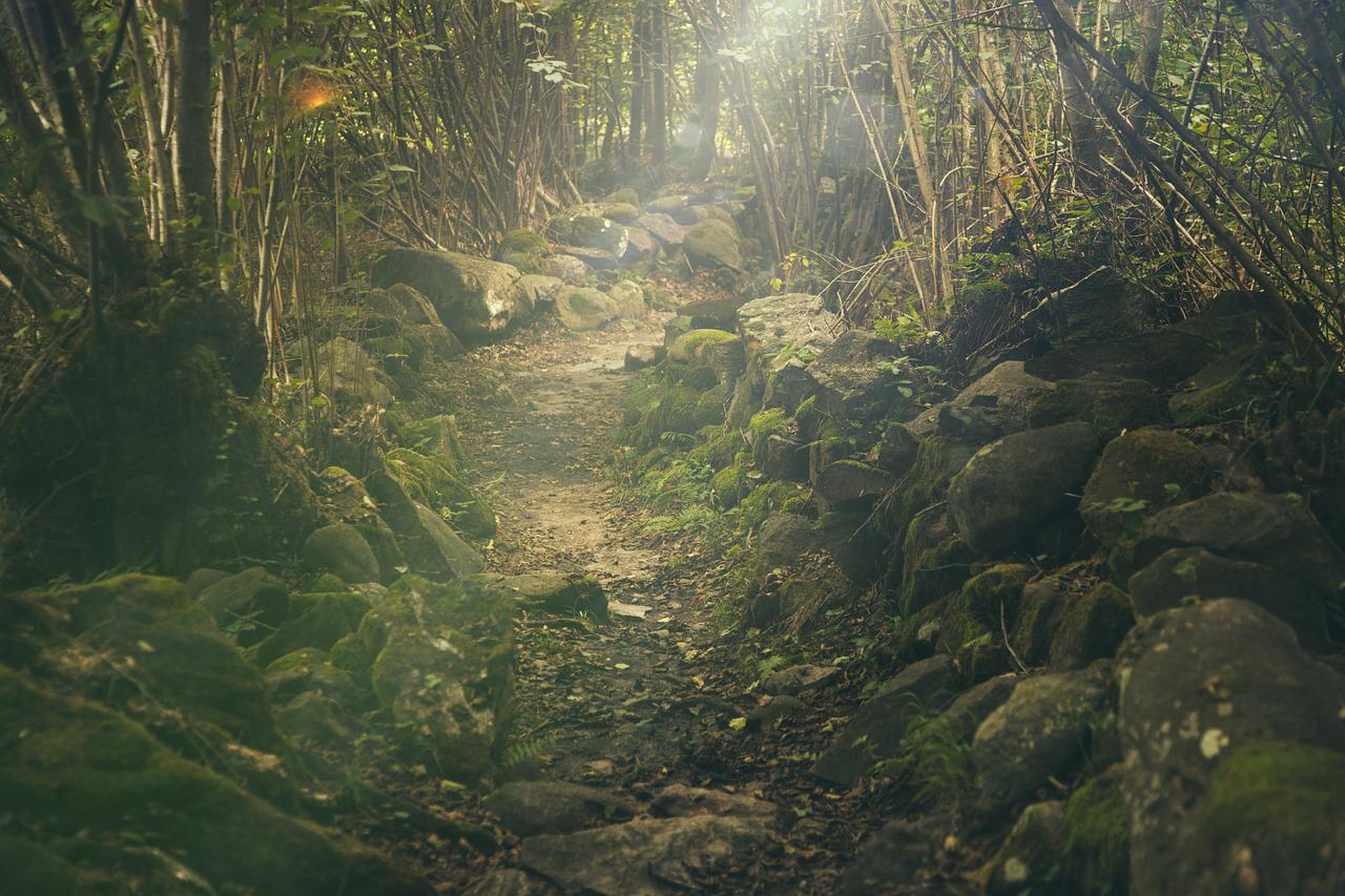 Following The Path Laid Before Me
