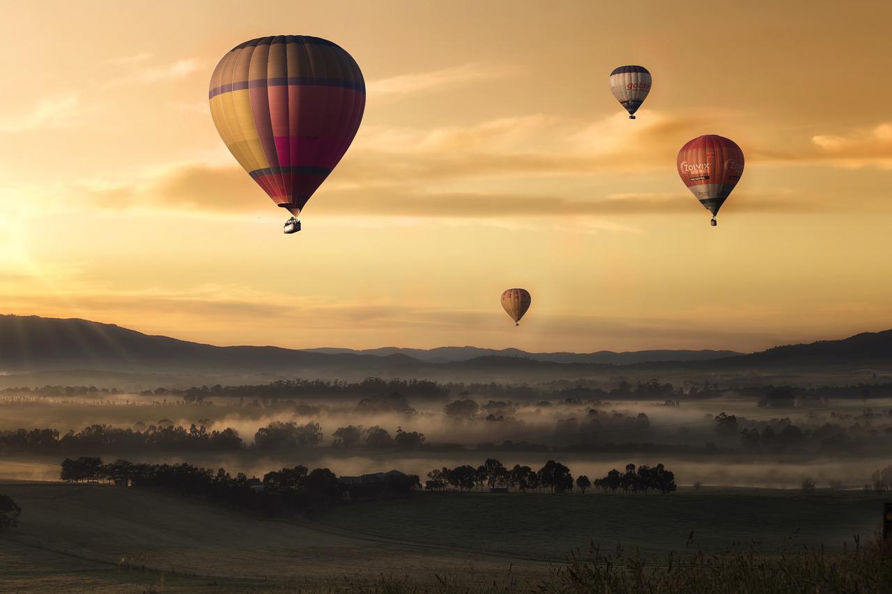 The Changes That Help Us To Fly Again￼