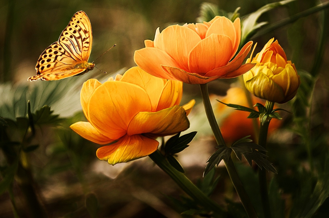 How can we find beauty in the everyday?
