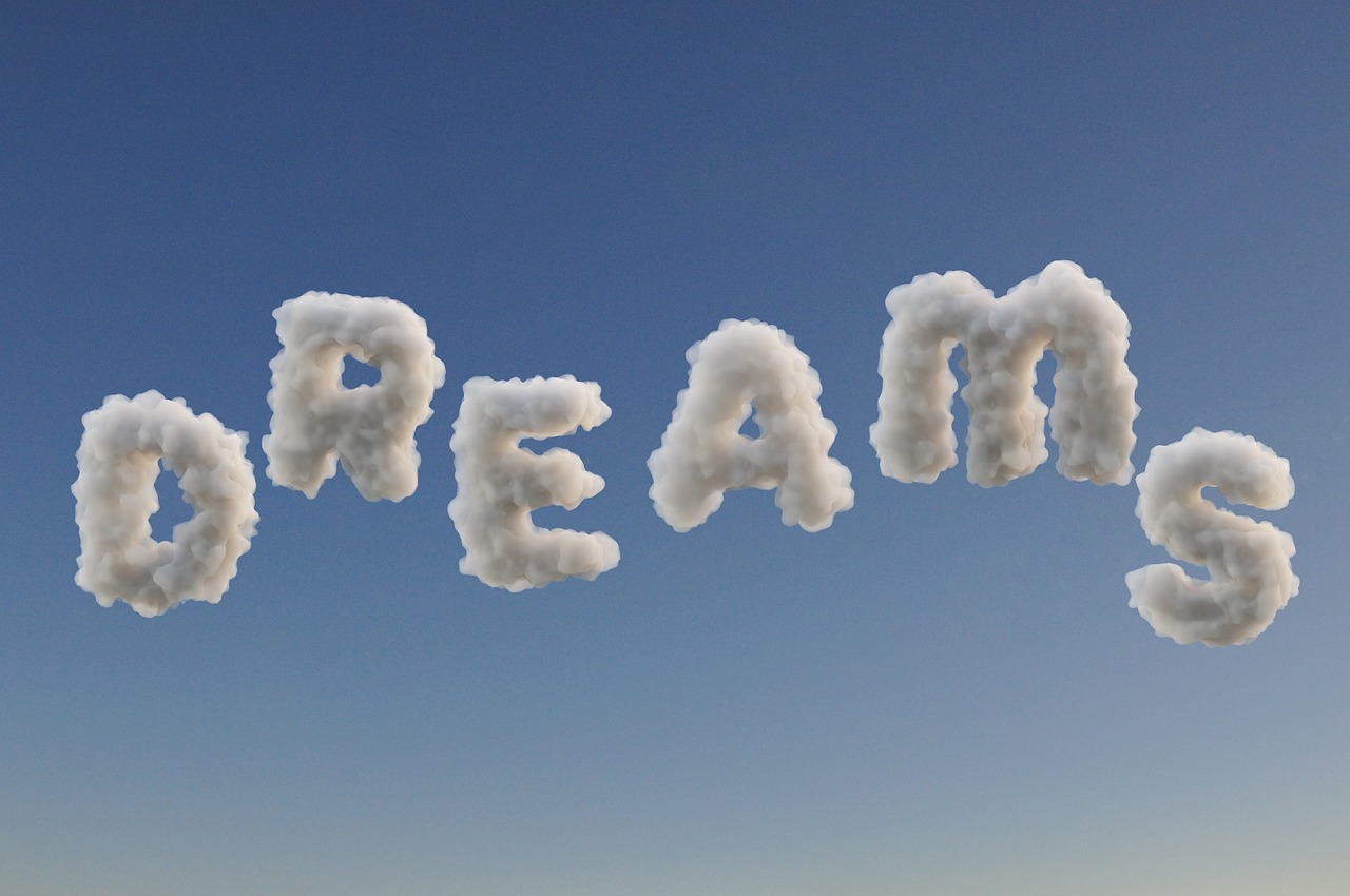 Let’s discuss the what and why of dreams