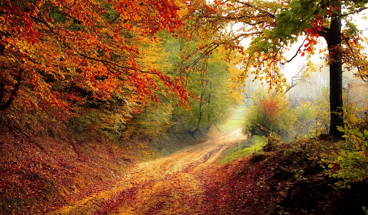 Embracing Effortless Living: The Art of Wuwei, Amor Fati, and Slow Living