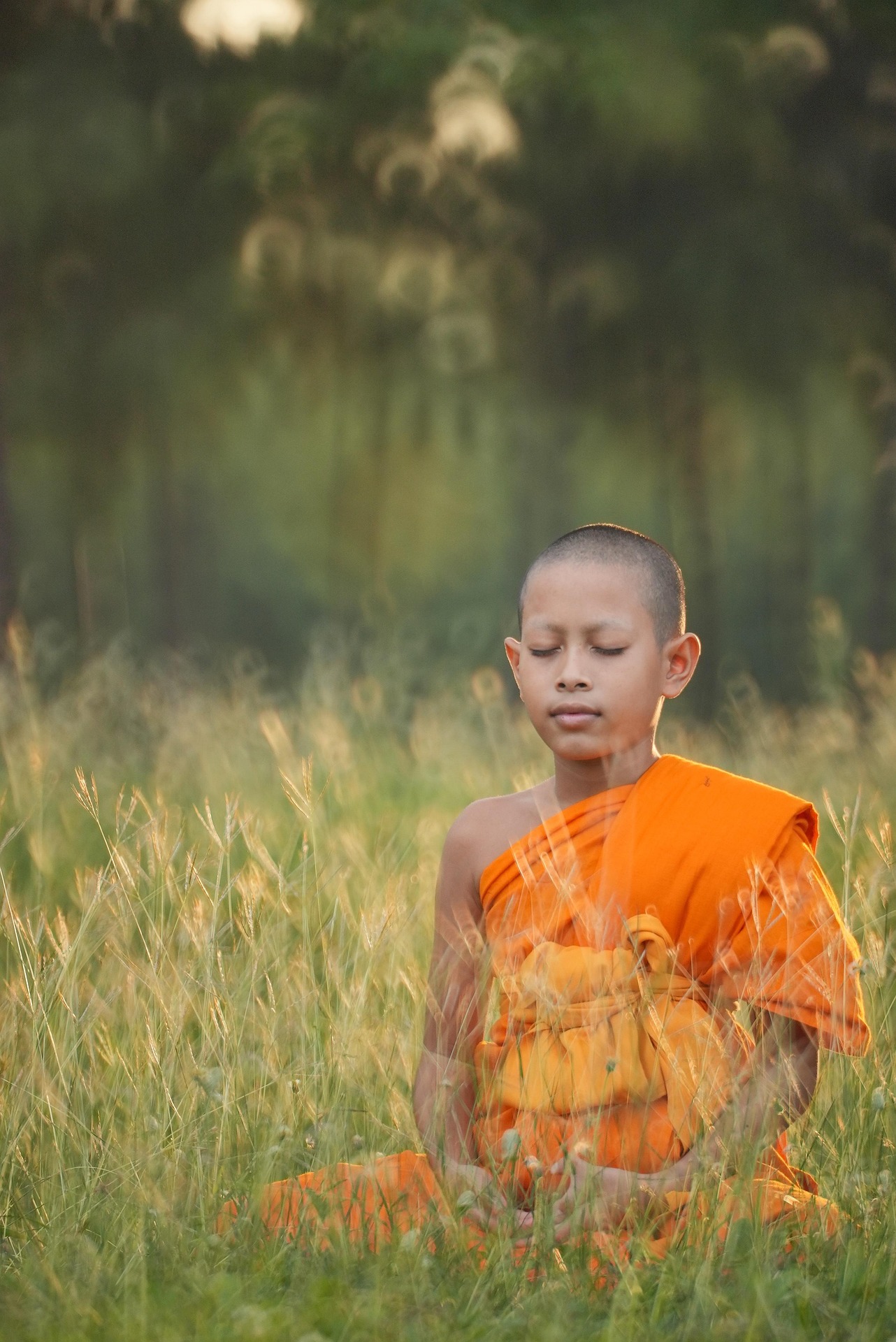 Mindfulness Meditation: Cultivating Focus, Reducing Stress, and Enhancing Self-Awareness