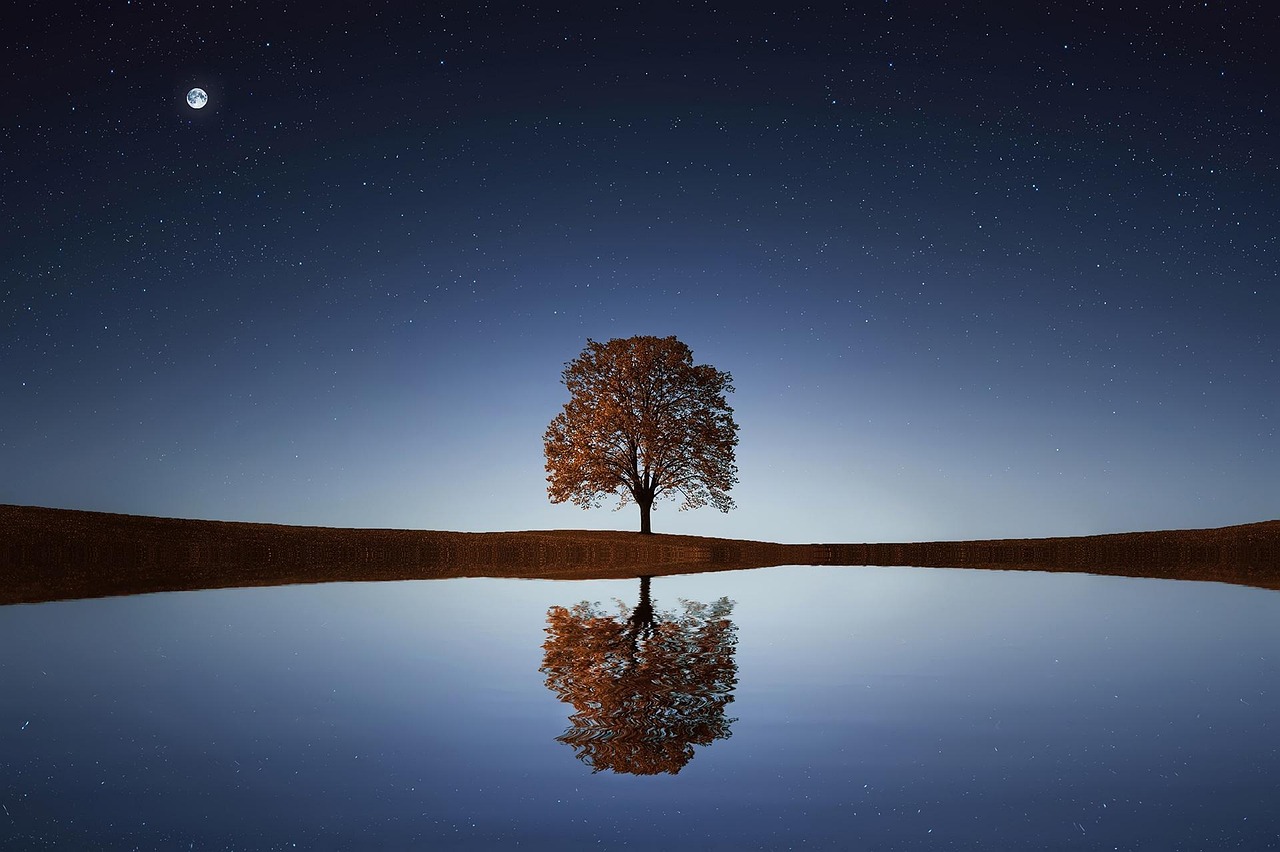 Embracing Solitude for Personal Growth and Transformation