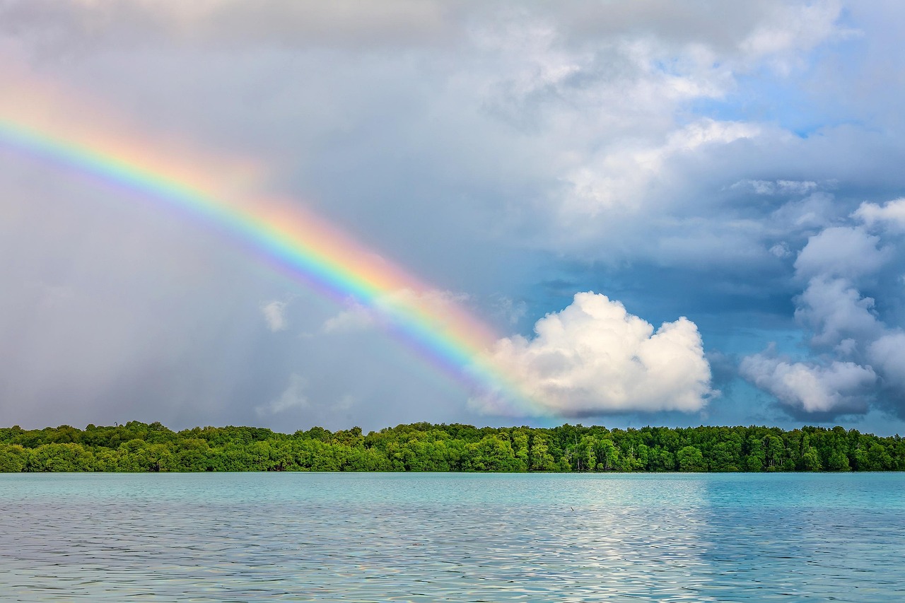 Recognize, Rebalance, Reframe, Regenerate, and Renew: 5 Self-Energy Healing Rituals to Overcome Trauma or Crisis